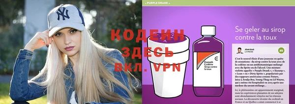 индика Горняк