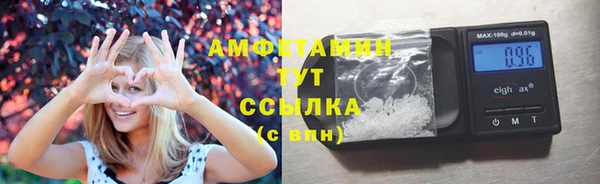 ГАЛЛЮЦИНОГЕННЫЕ ГРИБЫ Горно-Алтайск