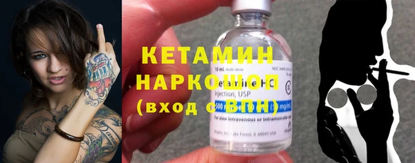 индика Горняк