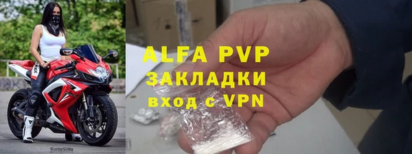 ГАЛЛЮЦИНОГЕННЫЕ ГРИБЫ Горно-Алтайск