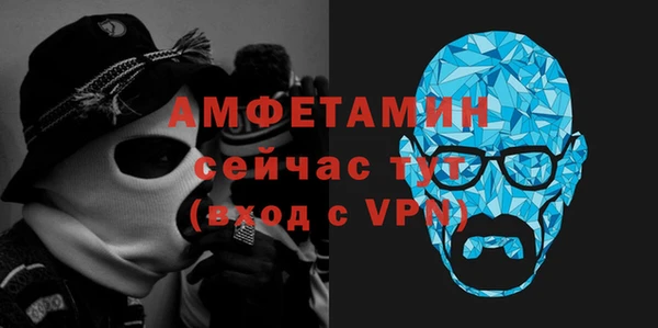 индика Горняк