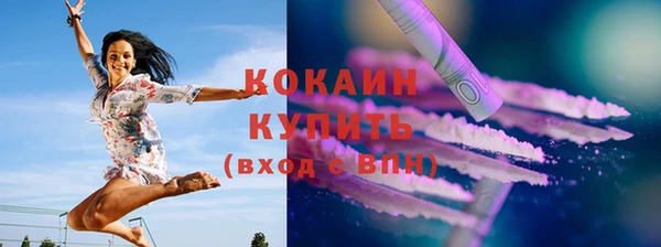 индика Горняк