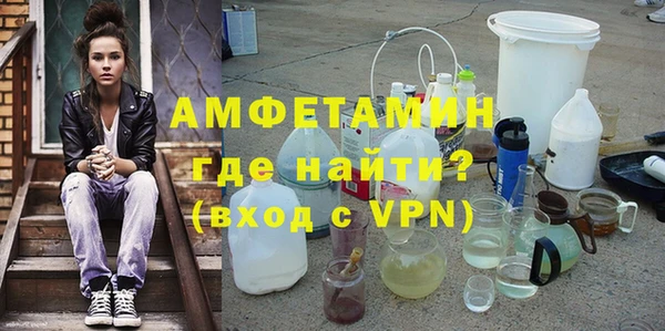 индика Горняк