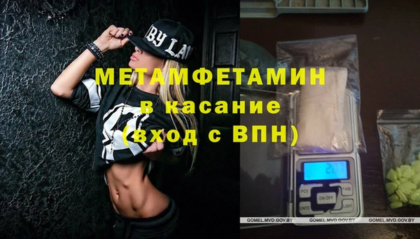 индика Горняк