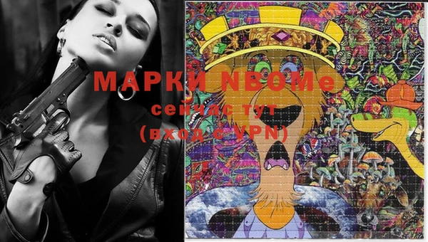 индика Горняк