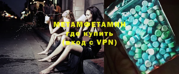 индика Горняк