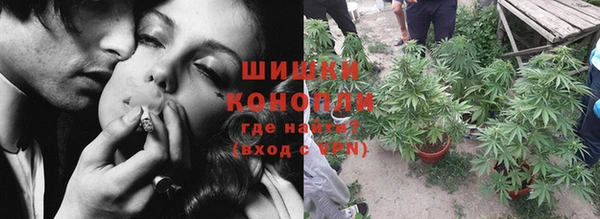 ГАЛЛЮЦИНОГЕННЫЕ ГРИБЫ Горно-Алтайск