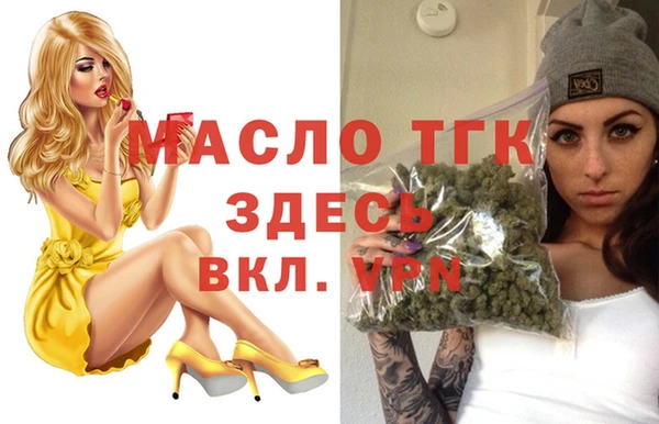индика Горняк