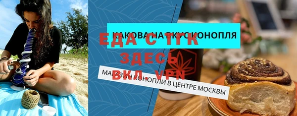 индика Горняк