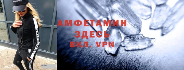 индика Горняк