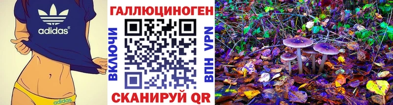что такое   Меленки  Псилоцибиновые грибы Psilocybine cubensis 